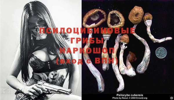 а пвп мука Кинешма