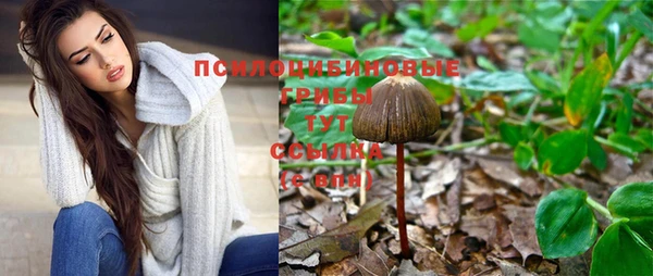 а пвп мука Кинешма