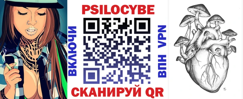 Псилоцибиновые грибы MAGIC MUSHROOMS  Купить  Болотное 